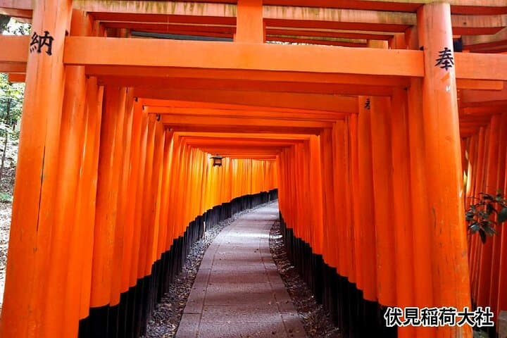 Kyoto Bus Tour: Arashiyama, Kinkaku-ji, Fushimiinari Shrine — photo 5