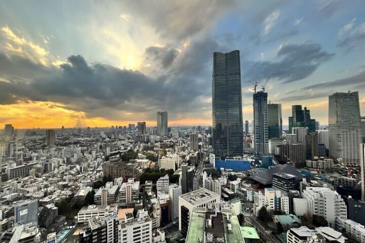 Tokyo Walking Tour : Sumo, Sushi, Tea, Temples and Tokyo Tower — photo 11