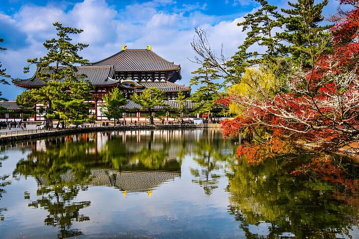 Nara Private Tour with Pick and Drop and English Speaking Driver — photo 6