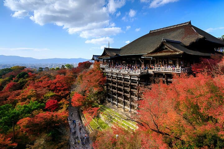 Kyoto & Nara Private Day Tour — photo 7