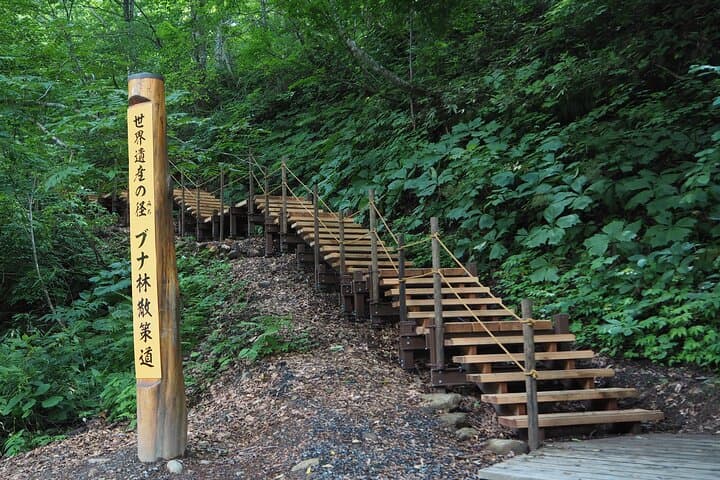 Full Day World Heritage Shirakami Mountains Hiking Tour — photo 4