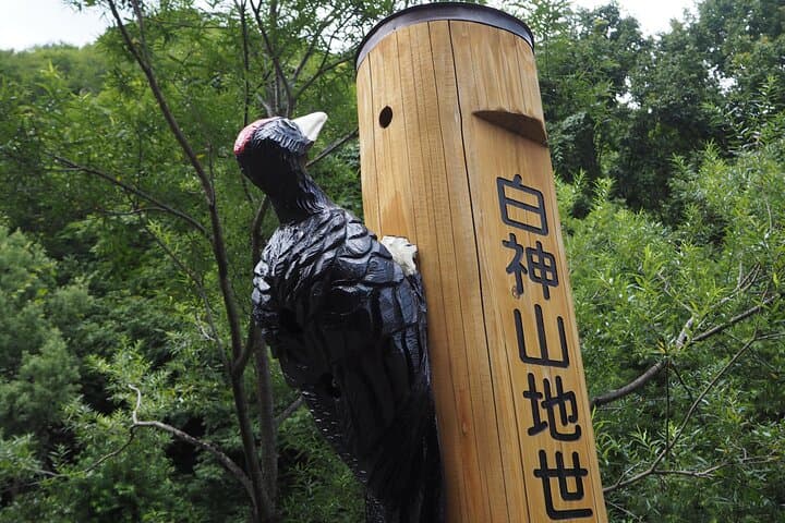 Full Day World Heritage Shirakami Mountains Hiking Tour — photo 8
