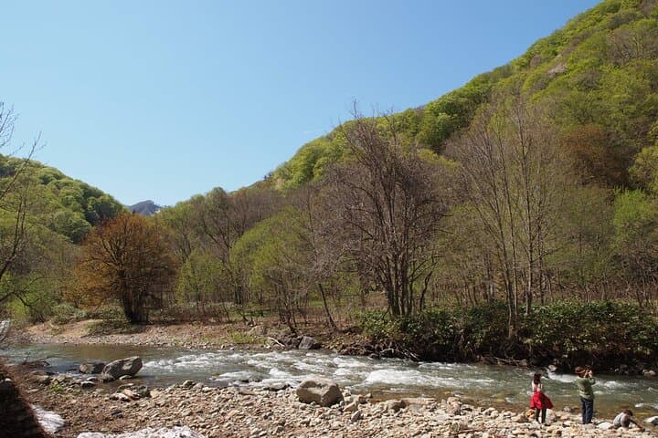 Full Day World Heritage Shirakami Mountains Hiking Tour — photo 10