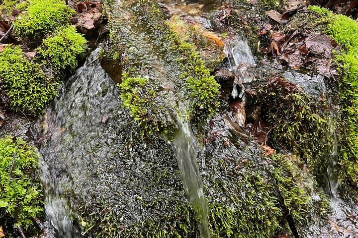 Full Day World Heritage Shirakami Mountains Hiking Tour — photo 12