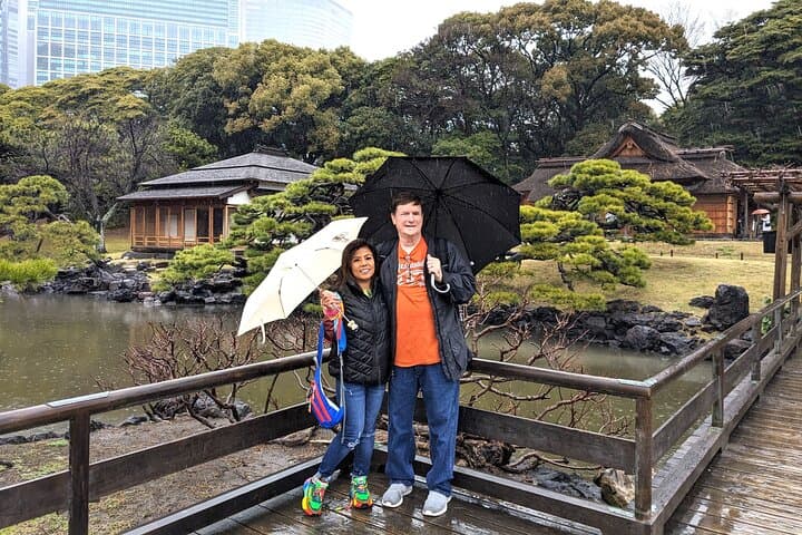 Private Customizable Car and Mini Van Tour in Tokyo — photo 2