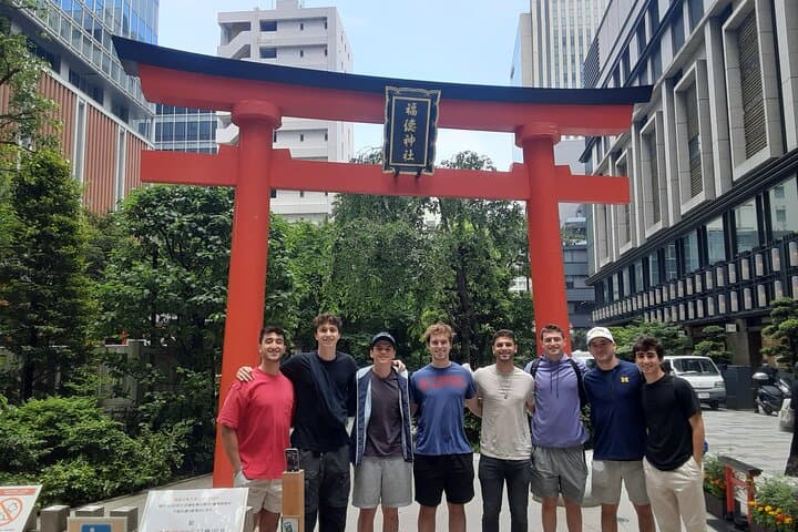 Private Customizable Car and Mini Van Tour in Tokyo — photo 8