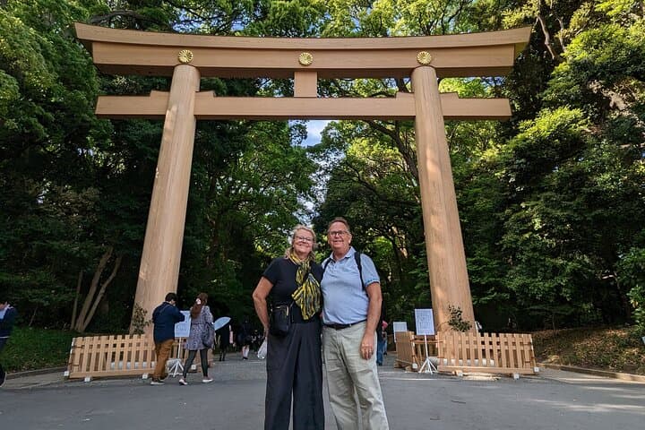 Private Customizable Car and Mini Van Tour in Tokyo — photo 20