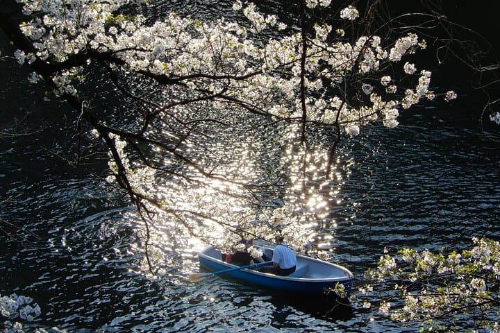 Private Tour - History, Art and Nature at the Imperial Palace — photo 5