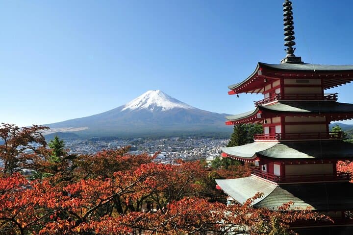 Private Tour to Mt. Fuji and Hakone (Fully Licensed Operator) — photo 9