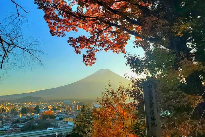 Private Tour to Mt. Fuji and Hakone (Fully Licensed Operator) — photo 11