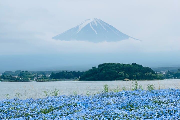 Mount Fuji Adventures Private English Tour With Hotel Pick Up — photo 8