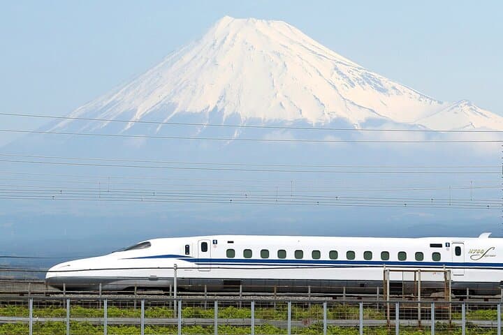 Bullet Train Experience & Mishima Shrine Private Tour from Tokyo — photo 1