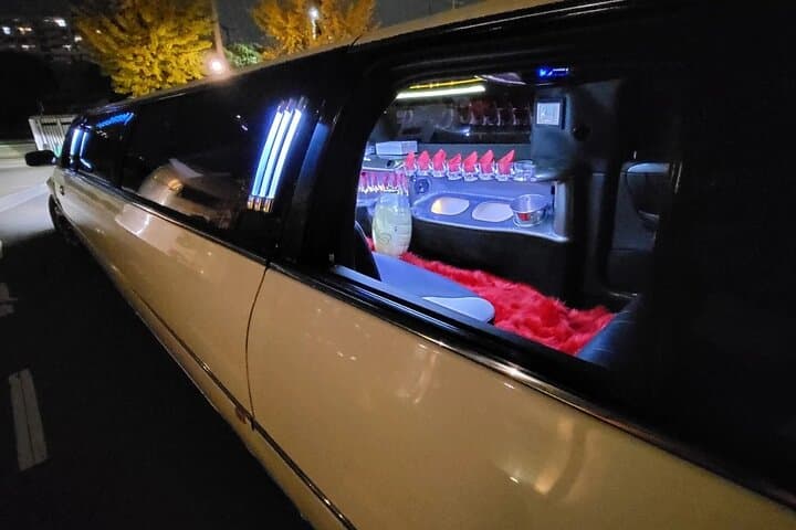 Osaka Limousine Photoshoot & Party Tour — photo 9