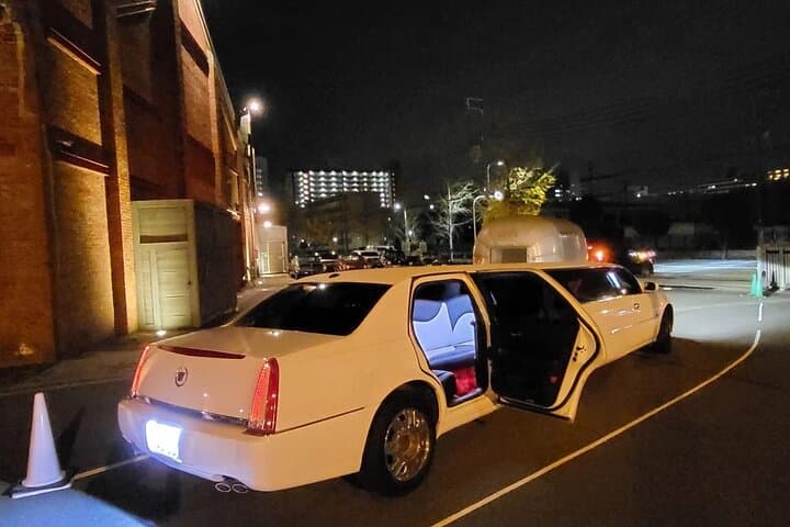 Osaka Limousine Photoshoot & Party Tour — photo 10