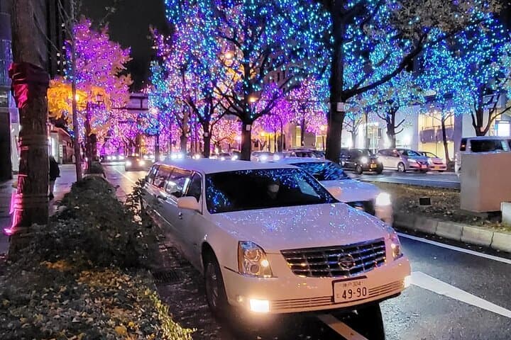 Osaka Limousine Photoshoot & Party Tour — photo 11