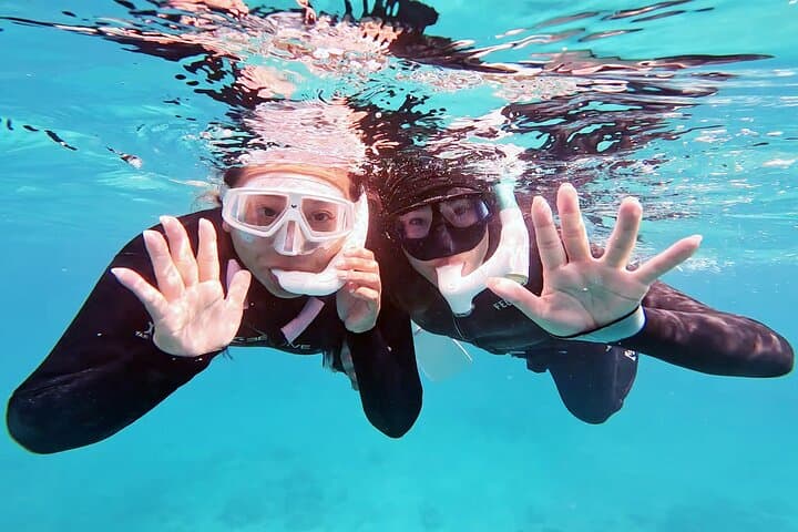 Half Day Amami Japan Boat Snorkeling Adventure — photo 7