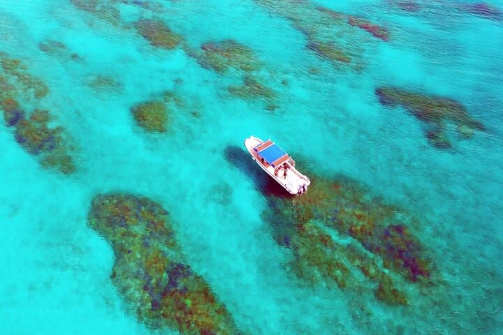Half Day Amami Japan Boat Snorkeling Adventure — photo 9