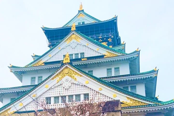 Private Osaka City Tour: Fusion of Tradition and Modernity — photo 3