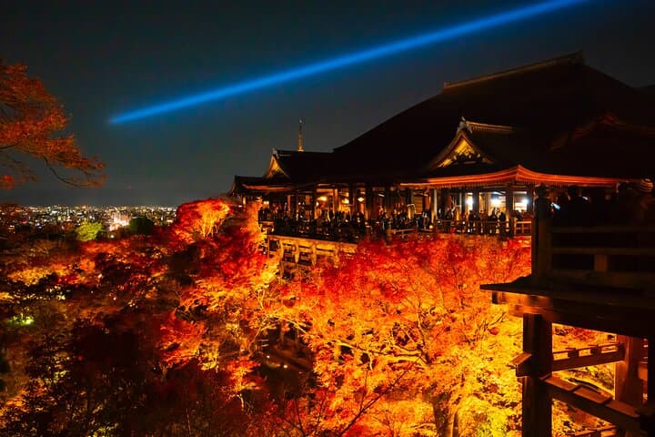Kyoto/ Private Tour delivered and guided by a top-tier driver — photo 6