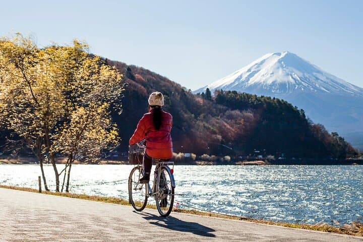Majestic Mount Fuji: Exclusive Private Day Tour — photo 3