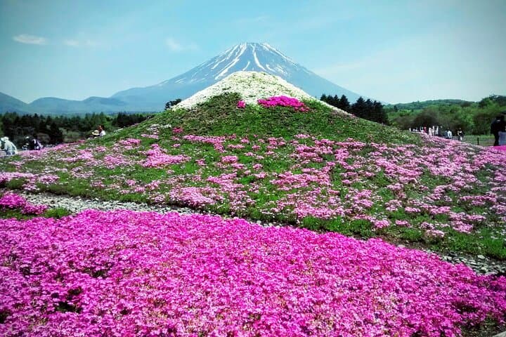 Majestic Mount Fuji: Exclusive Private Day Tour — photo 4