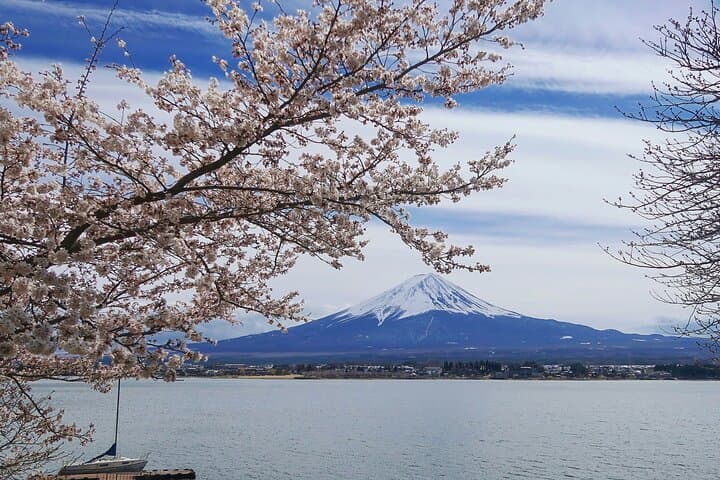 Majestic Mount Fuji: Exclusive Private Day Tour — photo 15