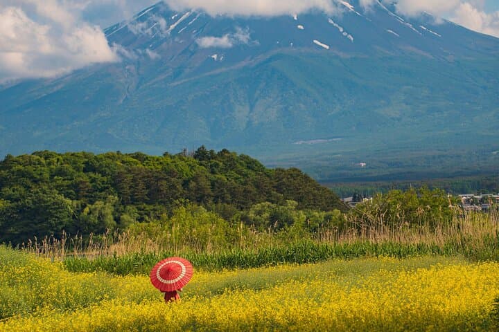 Majestic Mount Fuji: Exclusive Private Day Tour — photo 9