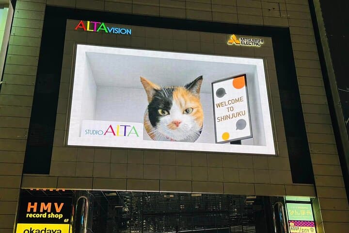 4 Hours Shibuya - Shinjuku Night Tour — photo 4