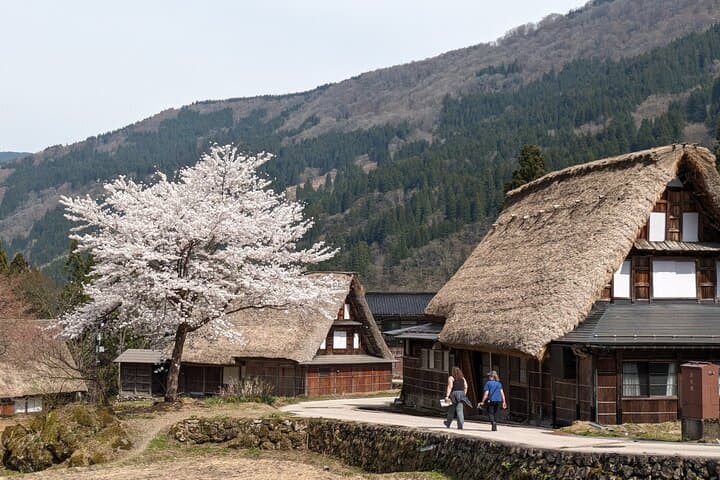 From Kanazawa: Shirakawa-go, Gokayama and Wood Carving Village — photo 6
