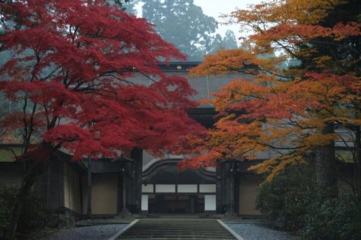 Mt Koya and Kishi Station 1 Day Bus Tour from Osaka — photo 3