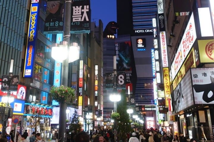 Licensed Guide Shinjuku Dramatic Tour (Tokyo) — photo 20