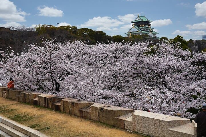 6 Hours Osaka Tour with National Licensed Guide — photo 7