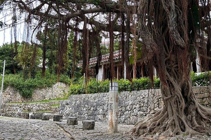 Phantom cafe tour in the Shuri by e-bike — photo 4