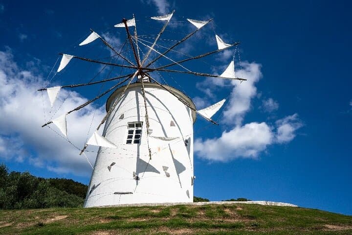 1 Day Shodoshima Island Bus Tour — photo 7