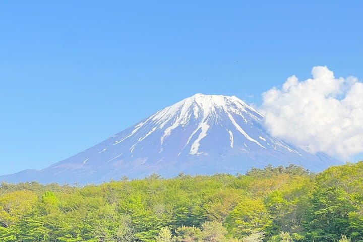 Visiting Historical Sites in Hakone with a View of Mount Fuji — photo 9