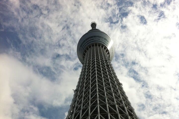 Family-Friendly Customizable Tokyo Tour with a Licenced Guide — photo 15