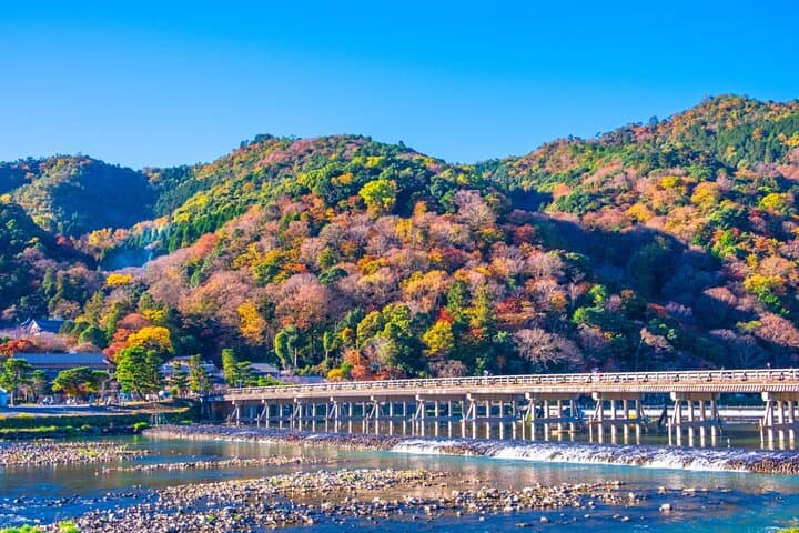 Arashiyama Highlights with Yuzen dyeing workshop — photo 14