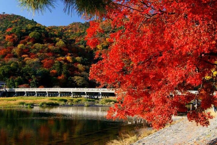 Arashiyama Highlights with Yuzen dyeing workshop — photo 15