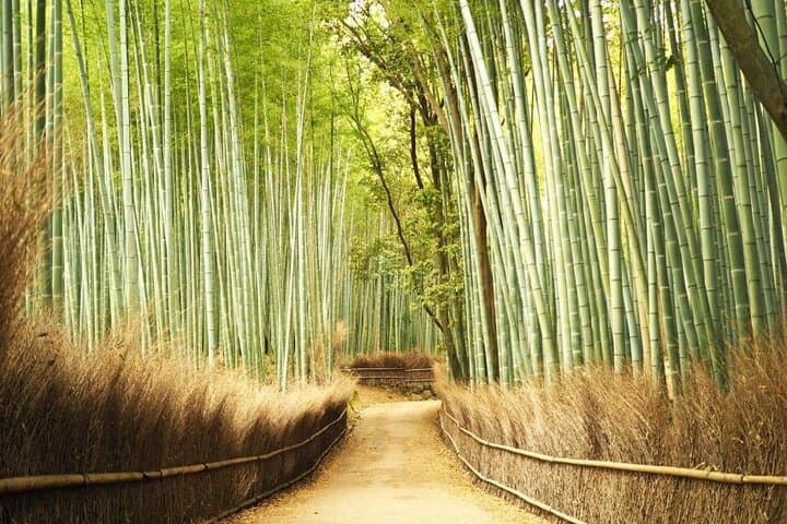 Arashiyama Highlights with Yuzen dyeing workshop — photo 20