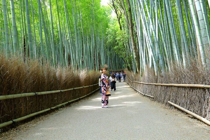 Arashiyama Highlights with Yuzen dyeing workshop — photo 19