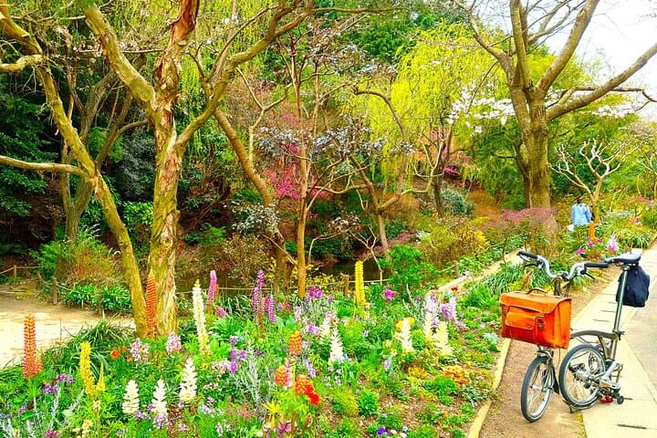 Art Island Naoshima BROMPTON Slow Cycling Tour — photo 13