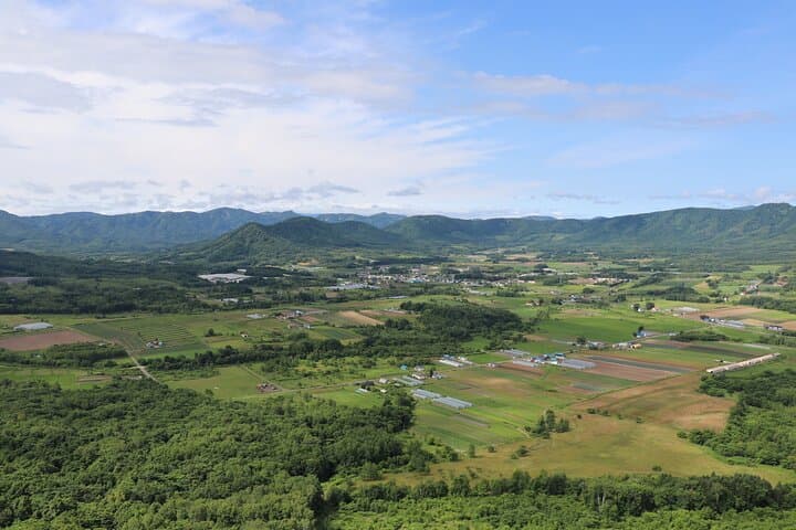 Harvest Experience in Akaigawa with Lunch Freshly Picked Veggies — photo 8