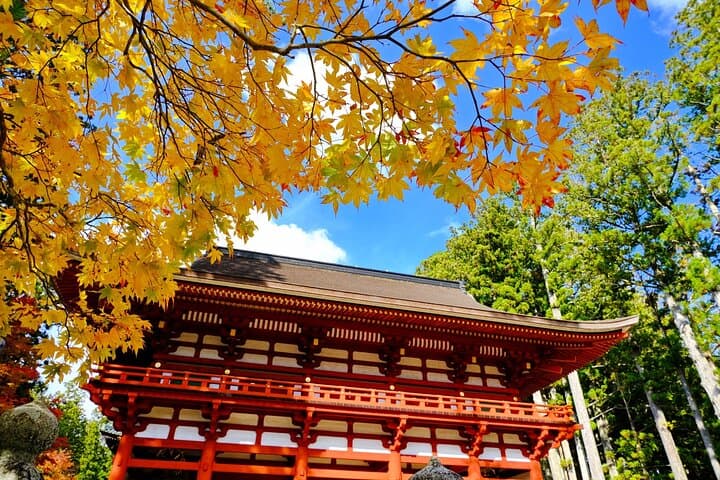 Day Trip to Sacred Sites at Koyasan from Kyoto — photo 4