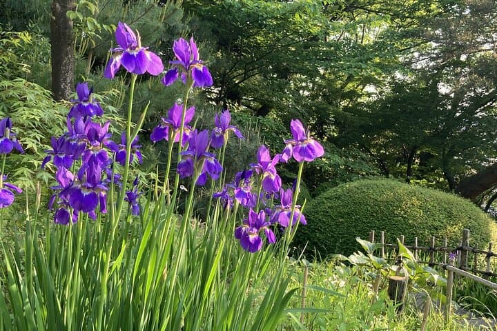 Futakotamagawa Suburban Gems Private Tour in Tokyo — photo 2