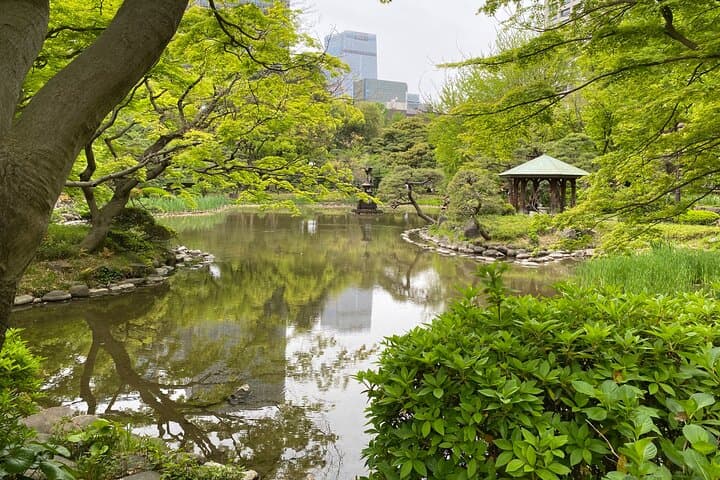 Day Tour All Three EDOs: Nikko to Kawagoe & the Imperial Palace — photo 3
