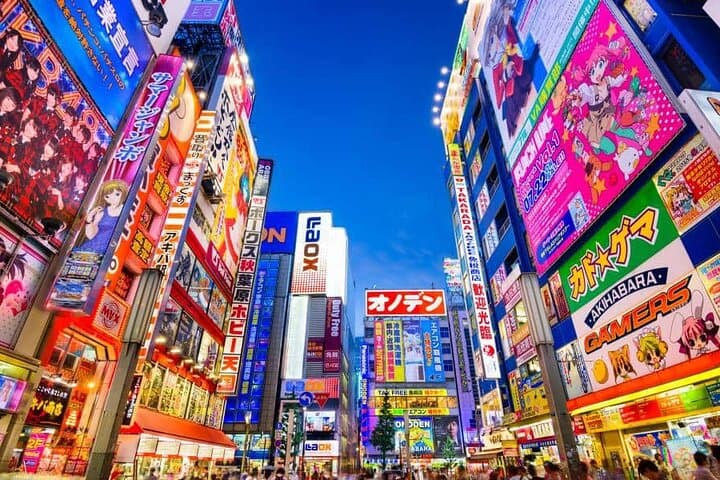 Tokyo Private Tour with English Speaking Driver — photo 4