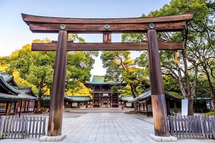 Tokyo Private Tour with English Speaking Driver — photo 5