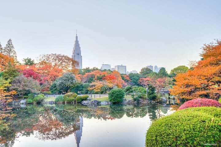 Tokyo Private Tour with English Speaking Driver — photo 6