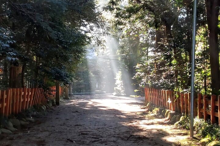 Sawara Chiba Private Tour — photo 18