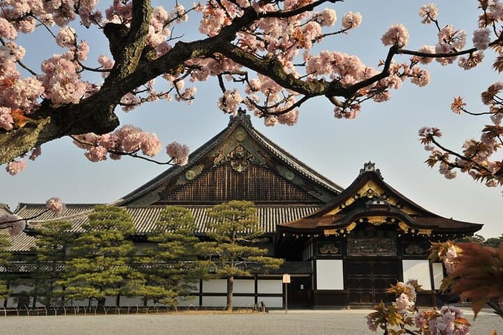 Nijo Castle Samurai Inside Story — Top-Rated Guide (Max 8) — photo 2